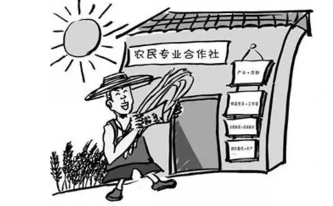 鄭州農民專業合作社設立登記表格如何填寫