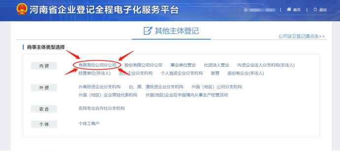 河南省營業(yè)執(zhí)照網(wǎng)上申報選擇有限責(zé)任分公司注冊